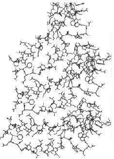 proteina de cubierta del TMV